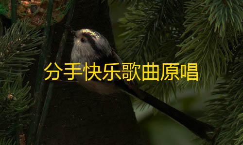 自瞄透视辅助器分手快乐歌曲原唱